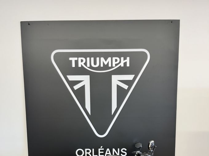 TRIUMPH SPEED TRIPLE 1200 RS 4