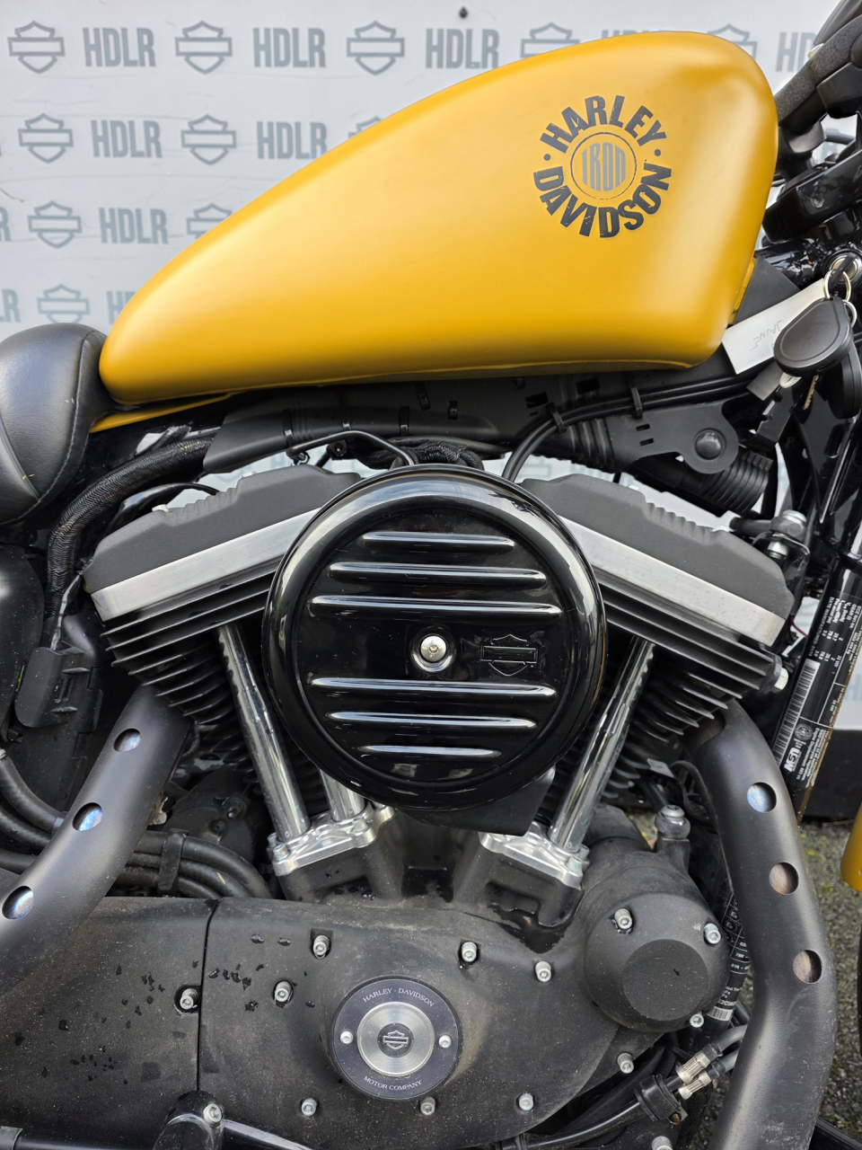 HARLEY-DAVIDSON SPORTSTER IRON 883 4