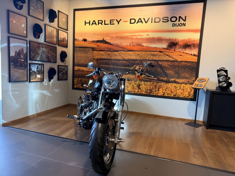 HARLEY-DAVIDSON SOFTAIL FAT BOY 1584 4