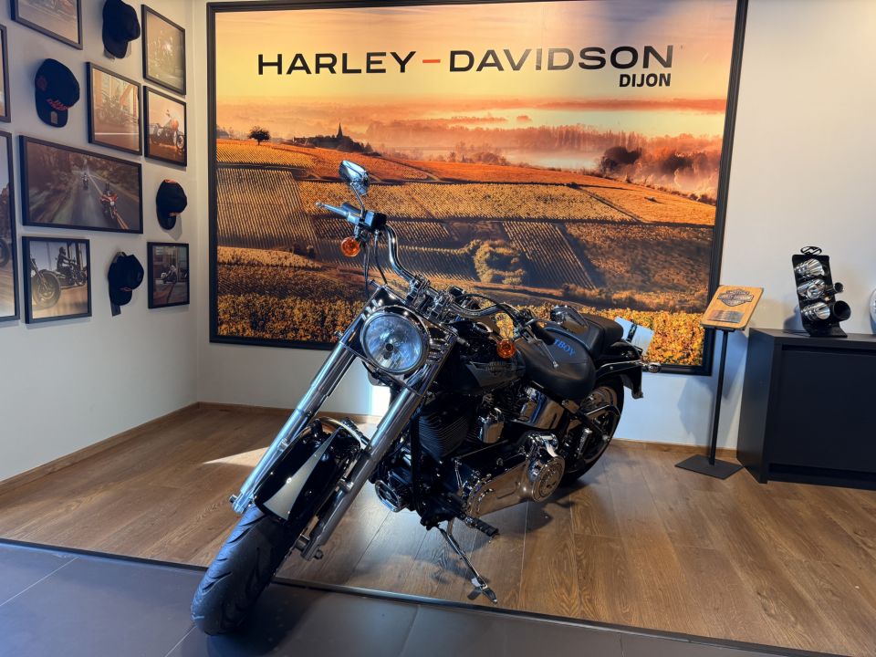 HARLEY-DAVIDSON SOFTAIL FAT BOY 1584 4