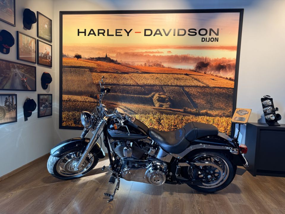 HARLEY-DAVIDSON SOFTAIL FAT BOY 1584 4