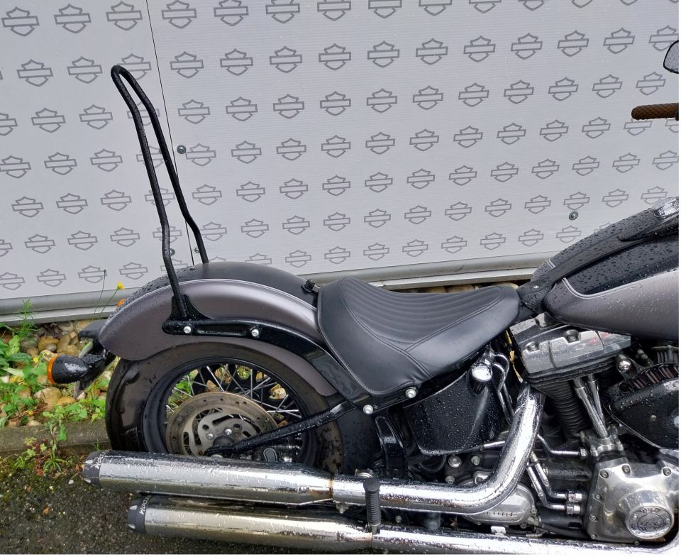 HARLEY-DAVIDSON SOFTAIL SLIM 1690 4