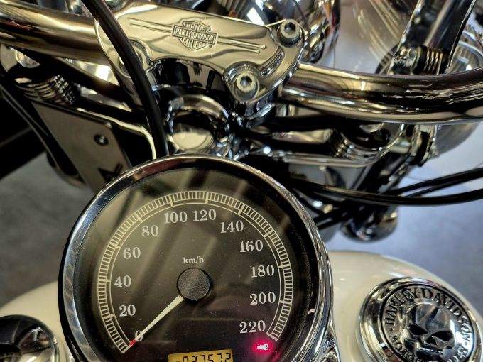 HARLEY-DAVIDSON SOFTAIL HERITAGE 1584 CLASSIC 4