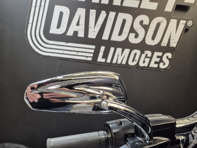 HARLEY-DAVIDSON TOURING STREET GLIDE 1745 SPECIAL 4