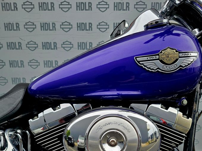 HARLEY-DAVIDSON SOFTAIL DEUCE 1450 4