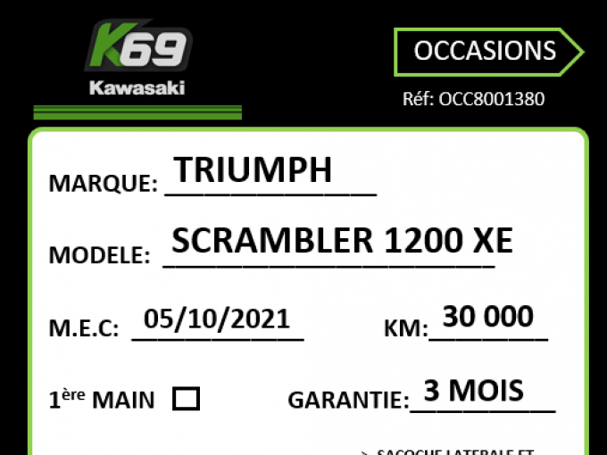 TRIUMPH SCRAMBLER 1200 XE 4