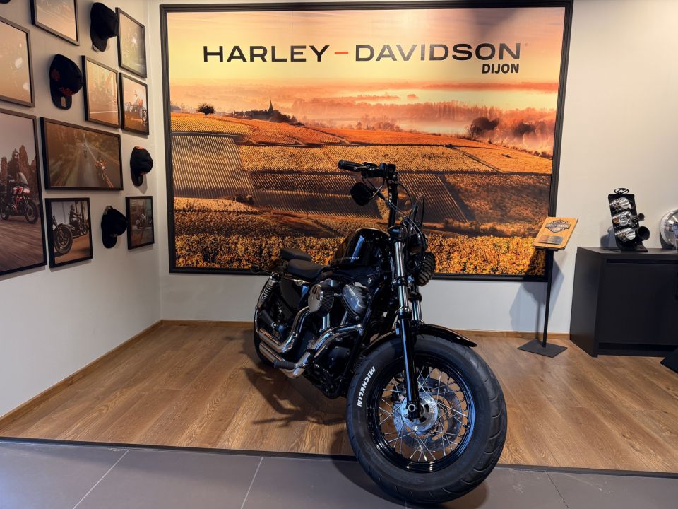 HARLEY-DAVIDSON SPORTSTER FORTY-EIGHT 1200 4