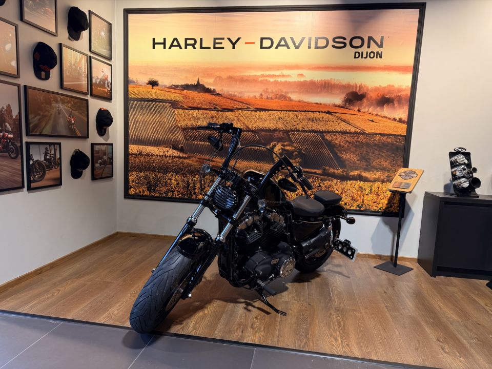 HARLEY-DAVIDSON SPORTSTER FORTY-EIGHT 1200 4