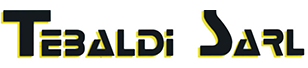 Logo de TEBALDI SCOOTER