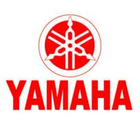 YAM 91