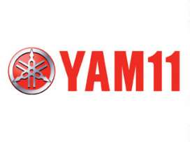 YAM 11